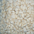 China high quality peeled fresh Frozen garlic cloves